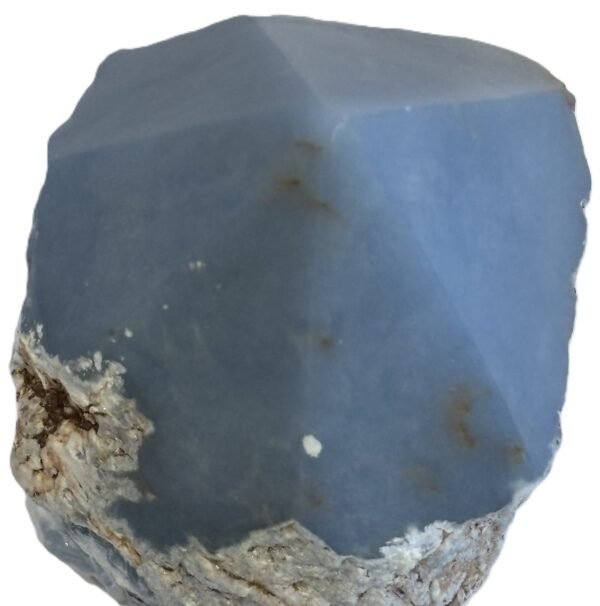 Natural rough angelite freeform with polished point 4 sians emporium Natural rough angelite freeform crystal with unpolished sides and a smooth polished blue point standing on a white background